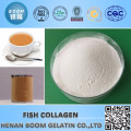 CHINA HALAL FISH COLLAGEN POWDER